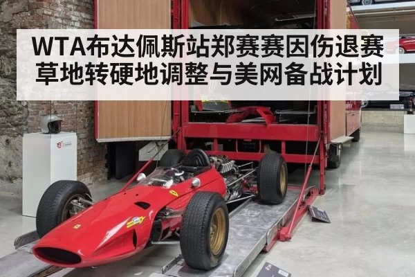 WTA布达佩斯站郑赛赛因伤退赛草地转硬地调整与美网备战计划