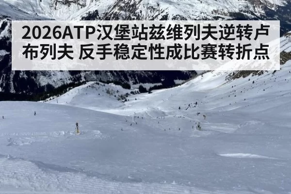 2026ATP汉堡站兹维列夫逆转卢布列夫 反手稳定性成比赛转折点