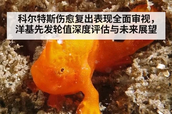 科尔特斯伤愈复出表现全面审视，洋基先发轮值深度评估与未来展望